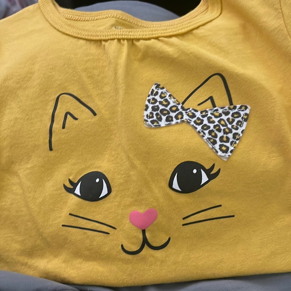 Carters 4T shirt and leggings